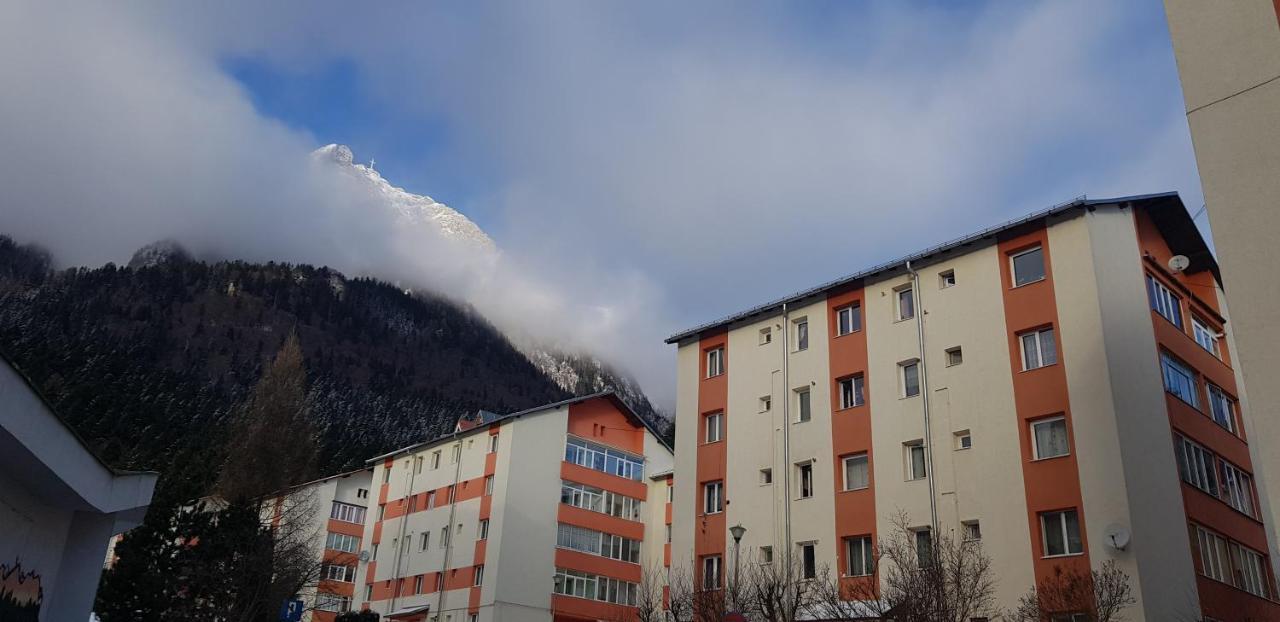 Apartament Silva Buşteni Eksteriør bilde