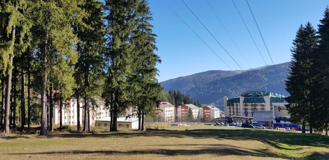 Apartament Silva Buşteni Eksteriør bilde